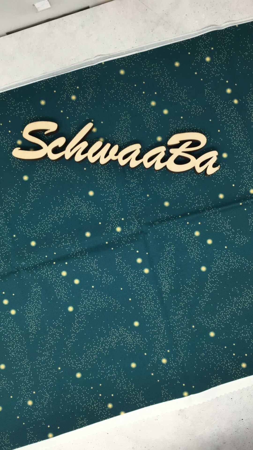 Schultüten Raumfahrbär